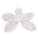 Wionya 50pcs Ostrich Feather Craft 6-8inch(15-20cm) Plume for Wedding Centerpieces Home Decoration