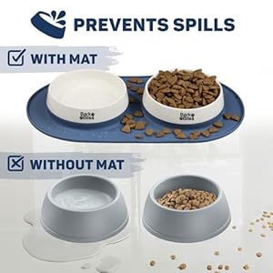 22oz650ml ceramic dog bowls for small size dog  4 cups dog cat water and food bowl set for small medium size dogs durable small dog bowls ceramic for convenient feeding non skid spill silicone mat   cucciolini doodles