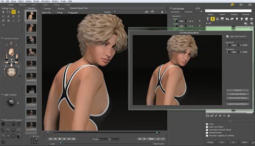 Poser 12 | The Premier 3D Rendering & Animation Software for PC and Mac OS | Easily create art and animation with 3D characters [Keycard]