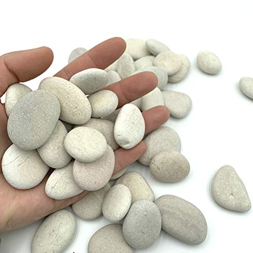 Lifetop 50Pcs Tiny White Painting Rocks Diy Rocks For Painting Detail-Painting Smooth Surface Stones,Arts And Crafts ，0.7 To 1.0 Inches ，So Small Rocks, Hand Picked For Painting Rocks #TOP1