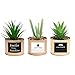 Belle Vous Mini Plante Artificielle Interieur en Plastique avec Pot en Métal Cuivré (3 Pièces) - 10 x 7,5 cm - Fausse Plante Cactus Succulent - pour Maison et Bureau