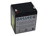 Online USV-Systeme