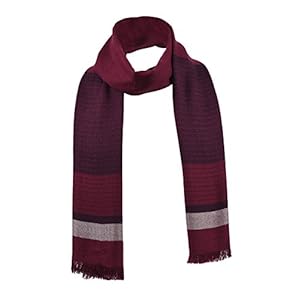 Runtlly Men’s Winter Cashmere Scarf Stripes Warm Soft Scarves with Tassel Luxurious Winter Scarf For Men Women