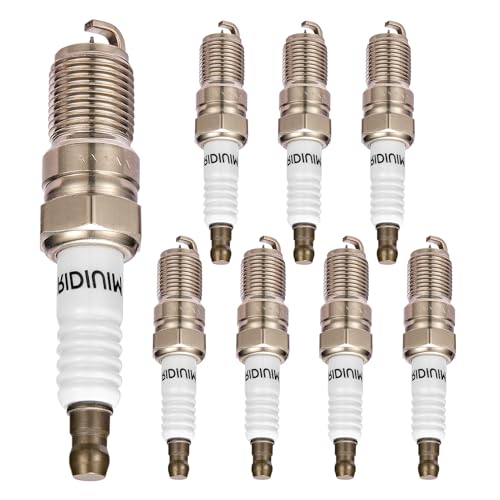 SYKRSS SP479/SP493 Double Iridium Spark Plugs 8 Pack Compatible with Expedition Excursion F-150 F150 F-250 F350 Super Duty E150 E250 E350 E450 A8 Navigator 5.4L V8 Replacement for SP-479 AGSF22WM