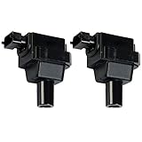 Quality Ignition Coil 2PCS Pack Compatible with 1996-2002 Mercedes Benz CL500 CL600 E420 S420 S500 S600 SL500 SL600 4.2L/5.0L/6.0L V8 V12