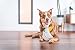 Red Dingo Durables Craig The Cockatoo Plüschtier für Hunde, sehr langlebig