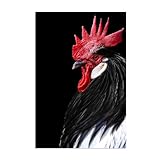 Kunstdruck auf Leinwand Huhn,GemäLde Huhn,Schwarze Kunst, 