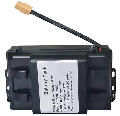 Batteria di Ricambio per Hoverboard da 36V 2Ah 3Ah 4Ah 6Ah Batteria Ricaricabile per monopattini elettrici/Tavole autobilancianti, Motore da 72Wh a 230,4Wh 36V,2Ah