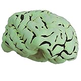 Loftus International Mad Scientist Glow in The Dark Brain Halloween Prop