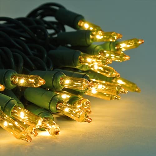 Dazzle Bright Christmas Mini String Lights, 66Ft 300 Incandescent Green Wire Fairy Lights Ul Certified Christmas Decorations For Indoor Outdoor Yard Party Xmas Tree Decor, Warm White #TOP6