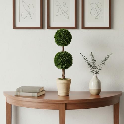 Shine Company Real Preserved Double-Ball Boxwood Topiary in Terracotta Pot (20" Tall/6" Wide) by Shine Company - Image 2