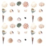 Alipis Conchiglie e Strombi Naturali per Decorazione Creativa Fai da Te Set di Conchiglie Piccole Portatili per Artigianato e Ornamento Nautico Accessori Decorativi per Acquari e