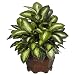 Nearly Natural 6639 Golden Dieffenbachia Decorative Silk Plant, Green