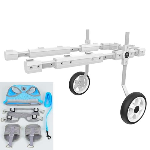 Fauteuil roulant pour petits chiens pour revivre ensemble