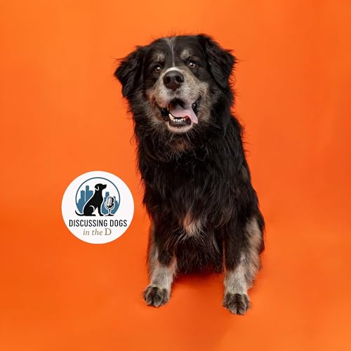 Fureelz Part 2 (Talkin&rsquo; Tails with Gail)