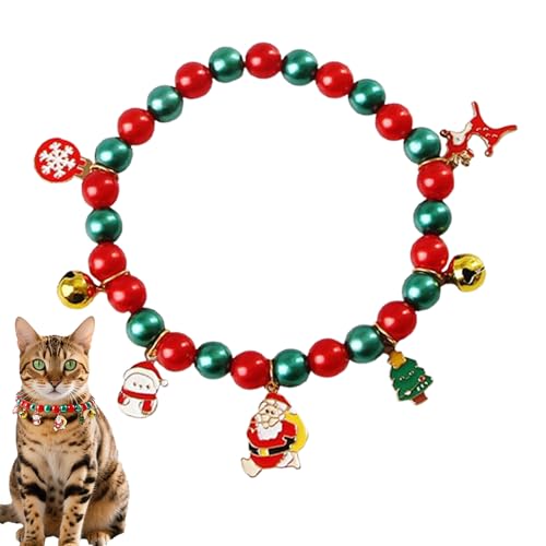 Apujent NX}XpLpJ[ | qplbNX | Ⴞ ̌ NX}Xc[ GNy_gƃ{xt - ^ Lp ~x݃zf[