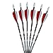 Fleetwood Fiberglass Arrows w/Feathers 6 Pack