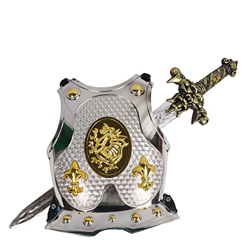CONTENUTO: Questo gioco contiene 1 spada sonica e 1 armatura da cavaliere. Le 2 pile LR44 sono incluse. Questo prodotto è realizzato in plastica per garantire la solidità necessaria per durare nel tempo. Misura 59 cm x 22 cm.