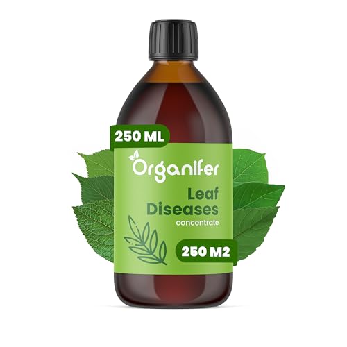 Concentré Pour Feuilles De Plantes – Maladies - 250 Millilitres - 250 M2 - Catégorie Biostimulant – Pour Plantes D'Intérieur – Pour Jardin, Rosiers, Fleurs, Légumes, Fruits - Organifer