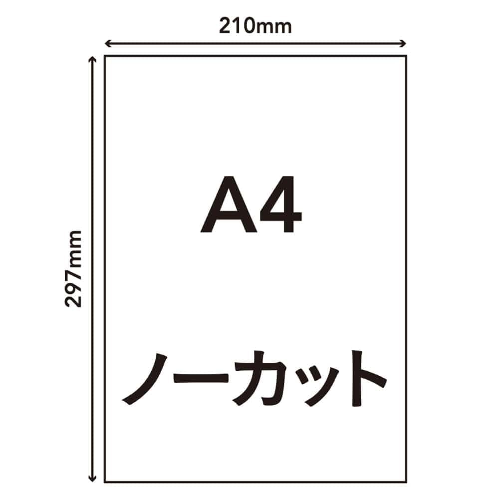 Amazon.co.jp: カインズ(CAINZ) ラベルシール A4サイズ 1面×20枚