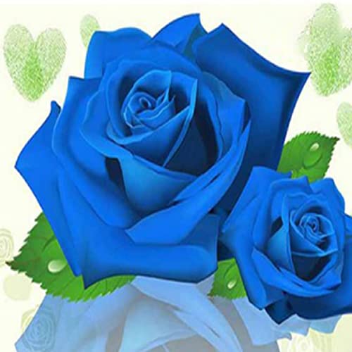 Kit point de croix rose bleue 11CT broderie estampée débutant