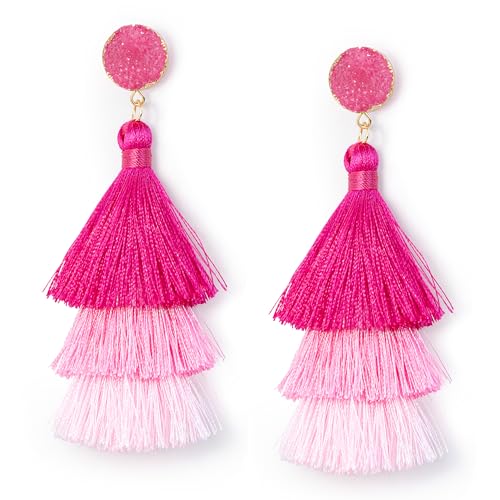 Me&Hz Pink Earrings for Women Fashion Hot Pink Ombre Tassel Dangle Drop Earring Lightweight Valentines Day Earrings for Women Statement Tropical Beach Earring Romantic Valentines Mothers Day Jewelry Gift