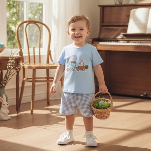 Image of Kavousa Toddler Boy Easter Outfit Baby Boy Bunny Short Sleeve T Shirt And Shorts Set 2 Piece Spring Summer Clothes