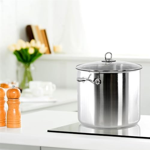 GAOAZHEN Olla de Acero Inoxidable con Tapa, 9 litros, Grande, Honda, con Doble asa, para Sopa y Sopa (9 litros)