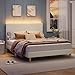 Bestier Bed Frame Queen Size with Headboard,Platform Bed Frame Upholstered with LED Lighting,Solid Wooden Bed Frame Slats Support,No Box Spring Needed, Never Squeaks, Easy Assembly,Beige