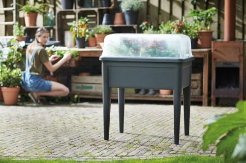 elho Green Basics Anzucht Tisch Super XXL - Living Schwarz – Ansicht 5