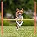 Hollowfly 8 Set Dog Agility Jump Adjustable Dog Agility Hurdle Training Equipment Portable Jumper Hurdle Park Indoor Outdoor Exercise Tool 3.44ft High/ 2.95ft Wide(Orange and Yellow)