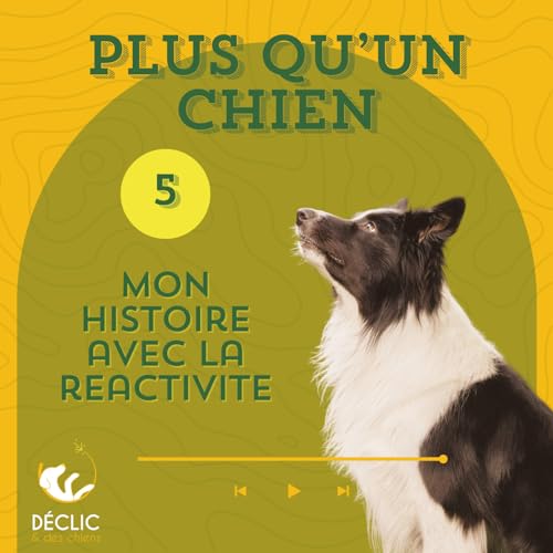 Mon histoire personnelle avec la r&eacute;activit&eacute;