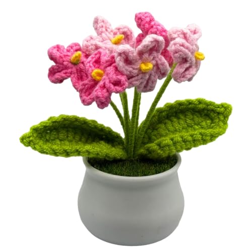 Fruaros Funny Fathers Day Dad Gifts from Daughter Son Crochet Flowers, Handmade Doll Crochet, Thank You Gifts, Home Office Desk Car Decor (Myosotis)