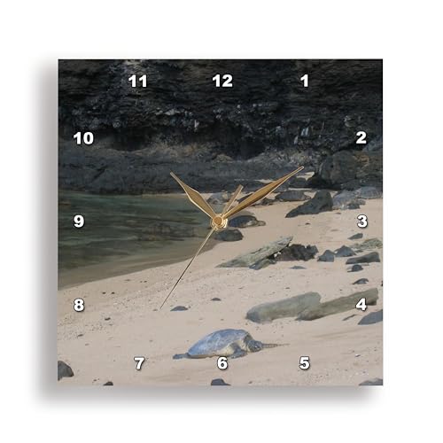 3dRose LLC Hawaii Sea Turtles 10 by 10-Inch Wall Clock