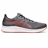 ASICS Zapatillas Patriot 13 Gris