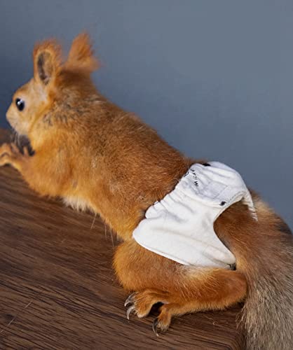 Wcdjomop Reusable Washable Squirrel Diapers, Highly Absorbent With Strong & Flexible Velcro Pants No Leak Reusable Diapers Urine Wet Pants For Squirrel,Fancy Rat,Groundhog (M (3.9" - 6.3"), 3 Pcs) #TOP3