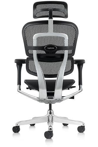 Ergohuman Elite 2 Cadeira De Escritório Ergonômica (PRETA)