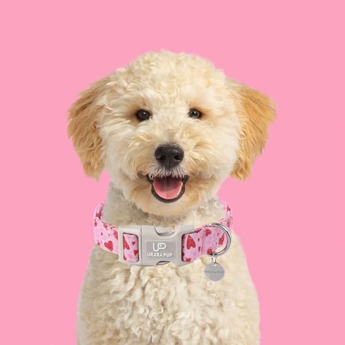 Image of Valentine's Day Dog Collar, Pink Heart Dog Collar with Quick Release, Valentine's Day Gift Pet Collar for Puppy Girl Boy Dogs, Wedding Dog Collar
