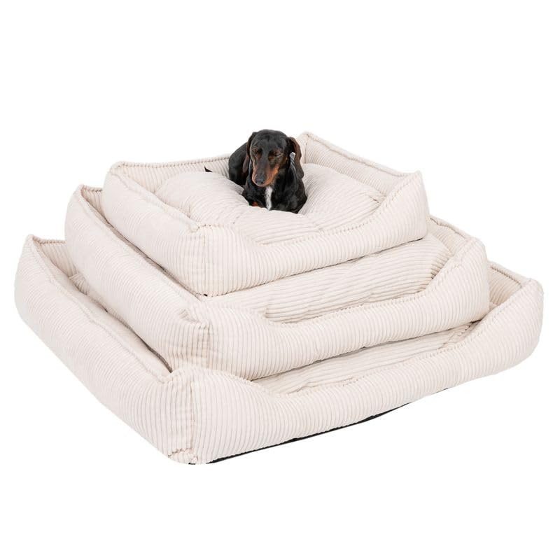 Modern Living Hundebett Helena | Komfortables Hundebett für kleine bis große Hunde | stilvolles Breitcord-Design | mit Memory Schaum gefüllt, Abnehmbarer Bezug (Beige, 65x60x18cm)