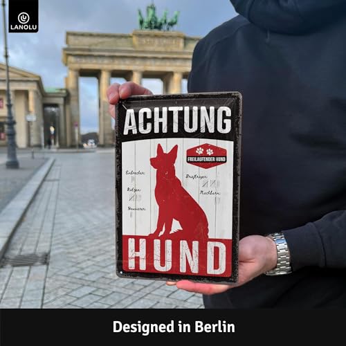 LANOLU Retro Blechschild Warnung vor dem Hund Schilder, retro Blechschild vorsicht Hund Schild, Achtung Hund Schild lustig, Warnschild Hund, Metallschilder mit Sprüchen, 20x30cm