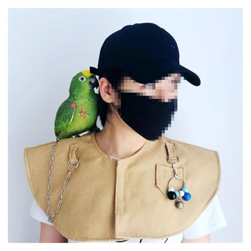 Hombreras para loros en casa: chal protector y capa de entrenamiento 6