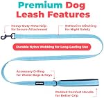 Voyager Reflective Dog Leash with Neoprene Handle, 5ft Long, Supports Small, Medium, and Large Breed Puppies, Cute and Heavy Duty for Walking, Running, and Training - Baby Blue (Leash), M