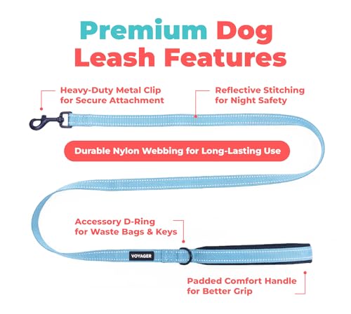 Image of Best Pet Supplies Voyager Reflective Dog Leash or Collar with Neoprene Handle, for Small, Medium, and Large Breed Puppies, Cute and Heavy Duty for Walking, Running and Training - Baby Blue (Leash), L