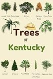 Trees Of Kentucky: Identification Log Book for Trees Enthusiasts, Trees Journal to Observe and Record Trees Collecting Information, Trees Lovers (Gifts for Kids And Dendrologists)