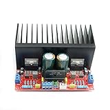Arbeitsspannung: AC 12-28V Wnuanjun 1Set TDA7293 2.0-Kanal-Hochleistungsverstärkerplatine 100W + 100W Zwei-Kanal TDA7293 HiFi-Stereo-Audio-Verstärkerplatine AC12-28V (Farbe : DIY KIT)