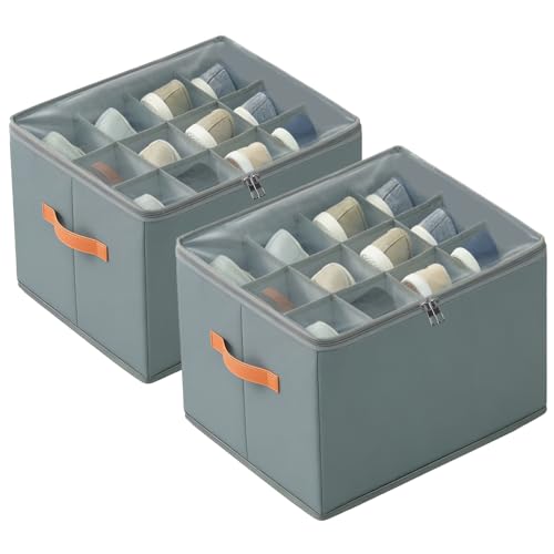 Omtofo 2 Piezas Organizador de Zapatos, Cajas Plegables Apta para 12-24 Pares, Asas, Ahorra Espacio Cajas para Zapatos, con Tapa Transparente, para Armario Entrada Dormitorio