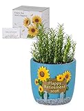 Afigurna Retirement Gifts for Woman: Happy Retirement Gifts for Women Nurse Teacher Coworker - Unique Retired Garden Gifts for Decoration - Hand-Painted Plant Pot Present with Gift Box and Card