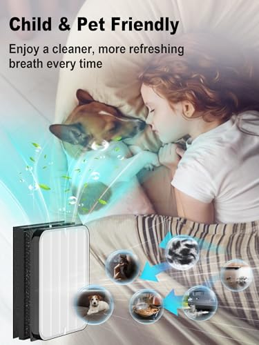 Image of 3500 Replacement Filter Compatible with Air Doctor 3500 Series