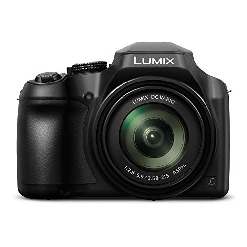 Panasonic Lumix Fz80 4K Long Zoom Camera (18.1 Megapixels, 60X 20-1200Mm Lens) Bundle With 64Gb Memory Card, Camera System Gadget Bag With Accessory And Cleaning Kit, Tripod, And Cable (5 Items) #TOP1