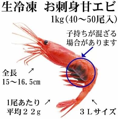 甘エビ 3Lサイズ1kg 刺身用 冷凍 甘海老 甘えび エビ 海老 えび あまえび 生食用 ギフト お取り寄せ 【得々】 贈呈用